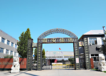 公司环境
