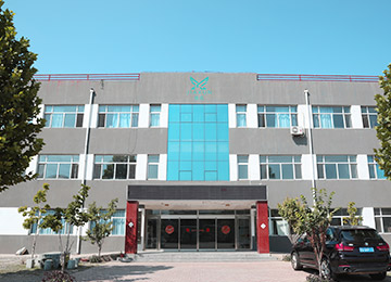公司环境